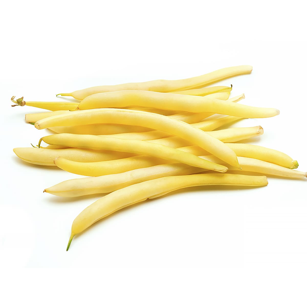 Fasole Galbena, Gatita