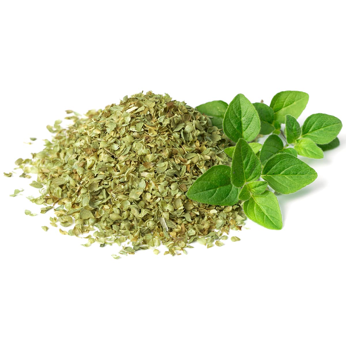 Oregano Uscat