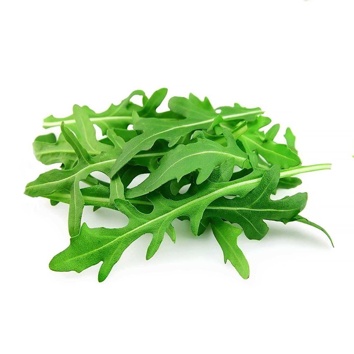 Rucola