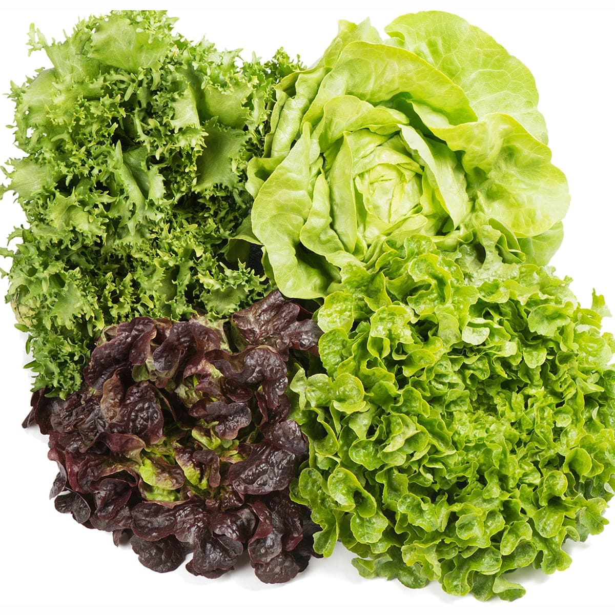 Salata Verde Frunza Rosie Cruda