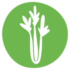 Alergen Telina / Allview ERA Food