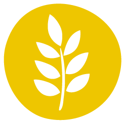 Alergen Gluten / Allview ERA Food